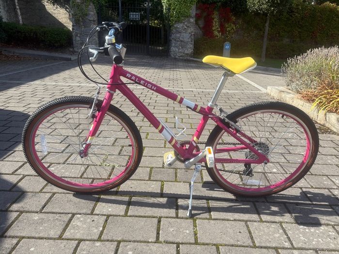 Raleigh Pop 24 Kids Bike