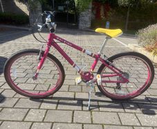 Raleigh Pop 24 Kids Bike