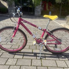 Raleigh Pop 24 Kids Bike