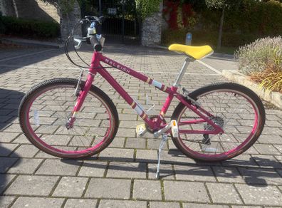 Raleigh Pop 24 Kids Bike