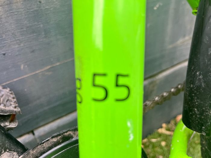 Frog 55 Bike