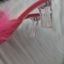 Pink.shoe Image 2