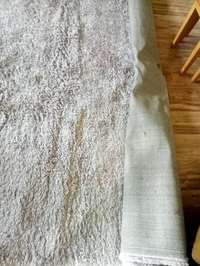 rug
