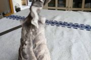 Ceramic figure
