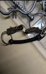 equestrian bits