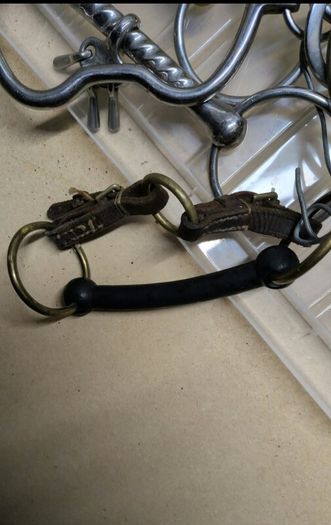 equestrian bits