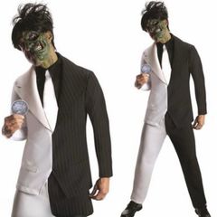 Two face villain Batman age 10/11