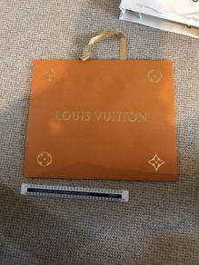 Large Louis Vuitton carry bag (new version)