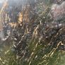 splashback granite/quartz Image 2