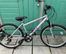 ladies bike