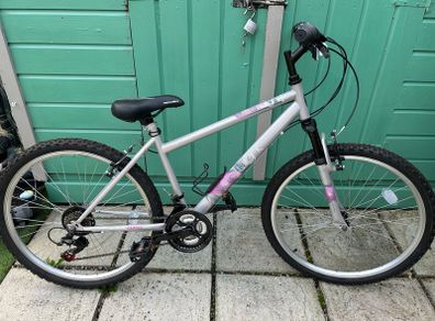ladies bike