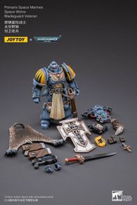 Warhammer 40k Joytoy 1/18 scale Marine Space Wolves Bladeguard Veteran Action figure