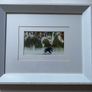 a pair of prints framed and glazed in a white frame Image 2
