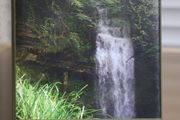 Wandering in Leitrim and Afar
