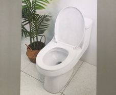 Brand new sealed Toilet Seat - collection only