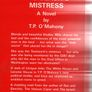 The Taoiseach's Mistress Image 2