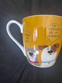 Cups and glasses