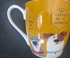 Cups and glasses
