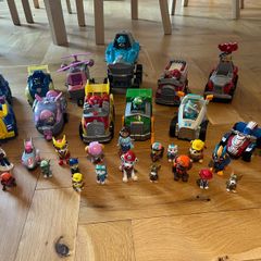 paw patrol bundle