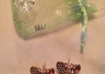 Brand new pretty butterfly earrings