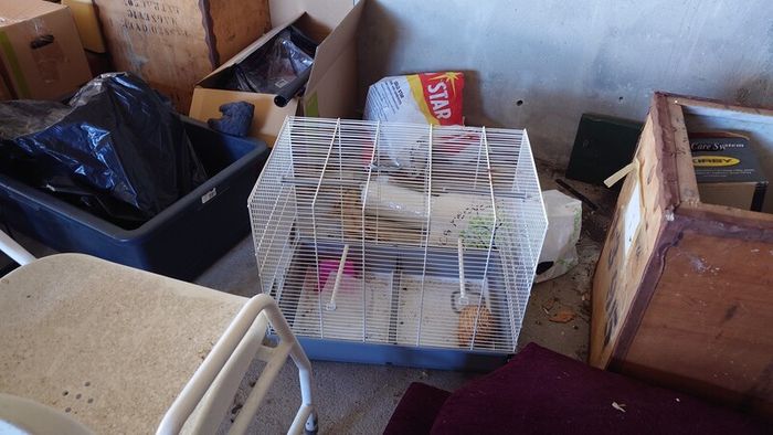 3 different size reptile glass tanks ideal to house , snakes lizards tanks  and bird cage