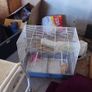3 different size reptile glass tanks ideal to house , snakes lizards tanks  and bird cage Image 2