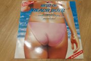The Beach Boys - The Best Of Vol 2 - Vinyl Record + Hundreds More