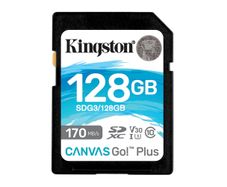Sandisk Canvas Go! Plus 128GB