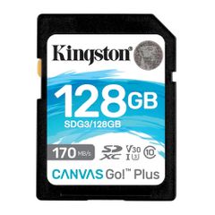 Sandisk Canvas Go! Plus 128GB