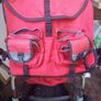 Running buggy Image 5
