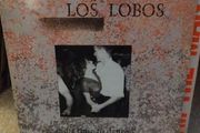 Los Lobos lp
