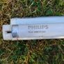Fluorescent tubes and battens x 2 Image 3
