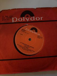 vinyl sham 69 if the kids are united 7"