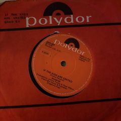vinyl sham 69 if the kids are united 7"