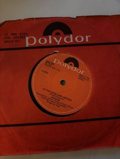 vinyl sham 69 if the kids are united 7"