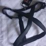 Dog Leads Harnesses Etc. BNWT Nobby Image 3
