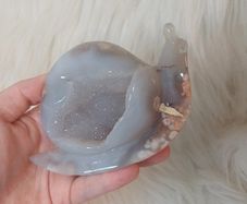 Druzy flower agate large snail carving
