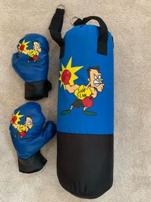 kids boxing bag & gloves