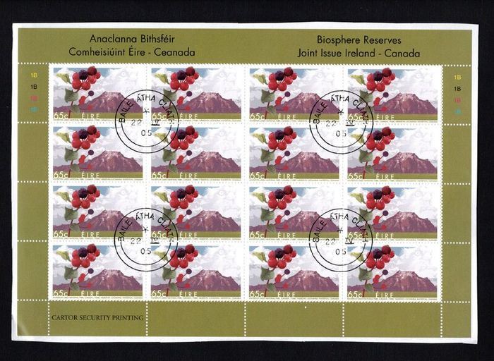 2005 Ireland Biosphere Reserves Stamp Sheetlet Plate 1A1A1A1A Fine CDS Used with Dublin cancel of 22nd April 2005 (Frist day of issued) on envelope extract.