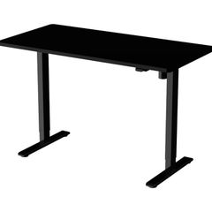 Standing Desk - Electric