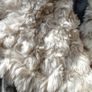 M+S Grey Boucle Fur Coat Image 2