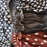 Bundle of river island dresses Image 9