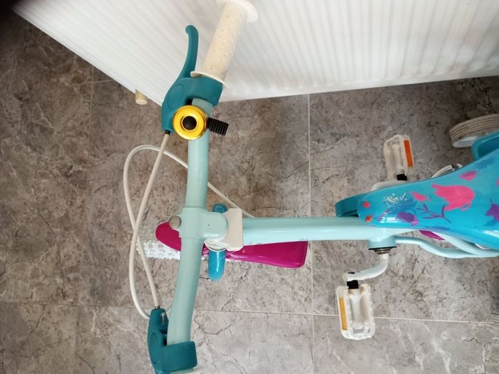 Kids frozen bike size 12 inch wheels.