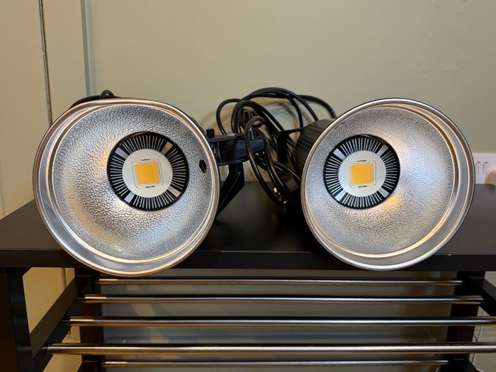 Pair of Godox SL60W LED Video Lights