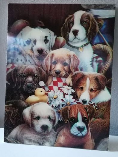 3 D picture of Gorgeous Puppies