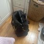 luggage Image 4