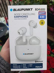 Earphones