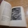 Garden Foliage For Flower Arrangement (Hardcover) Image 4