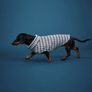 Premium bundle of H and M dog accessories in excellent condition. Perfect for a small dog. Image 4