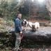 Collie2013